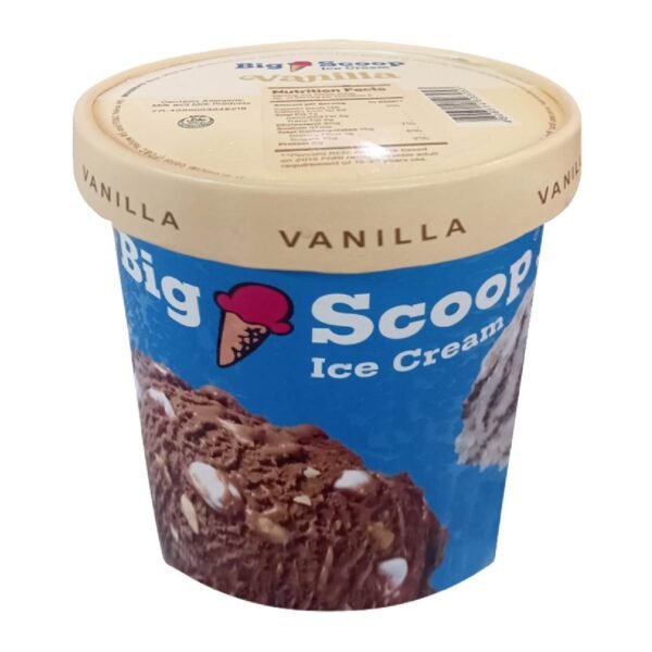 Big Scoop Vanilla Ice Cream Pint 473ml